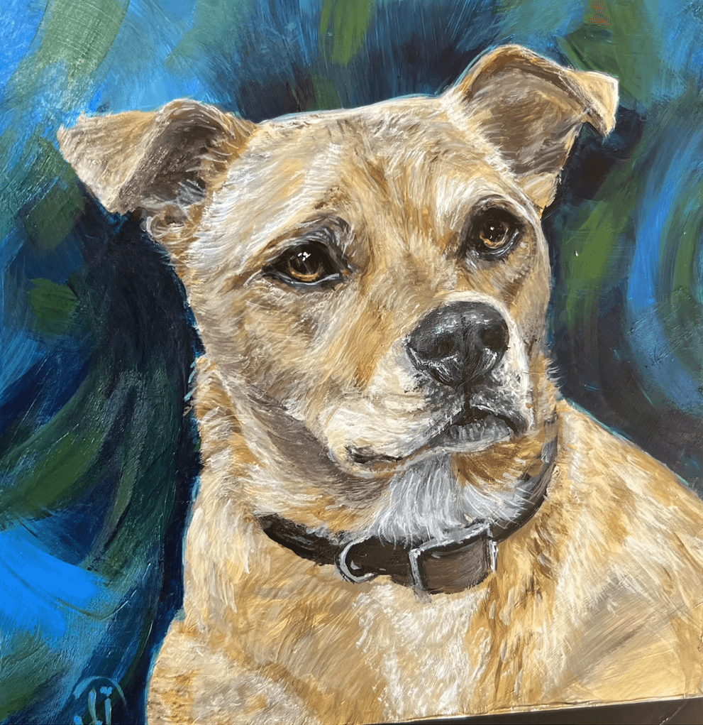 Portfolio showcase 9