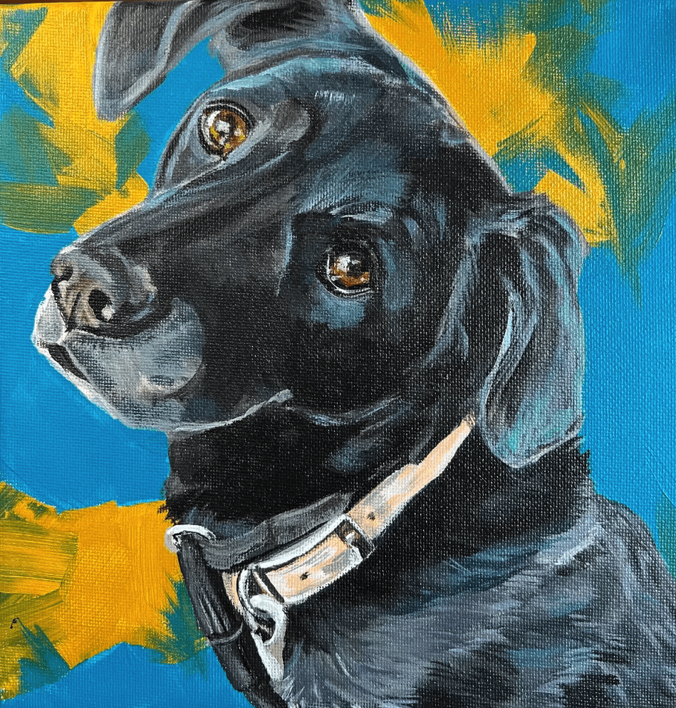 Pet portrait 11