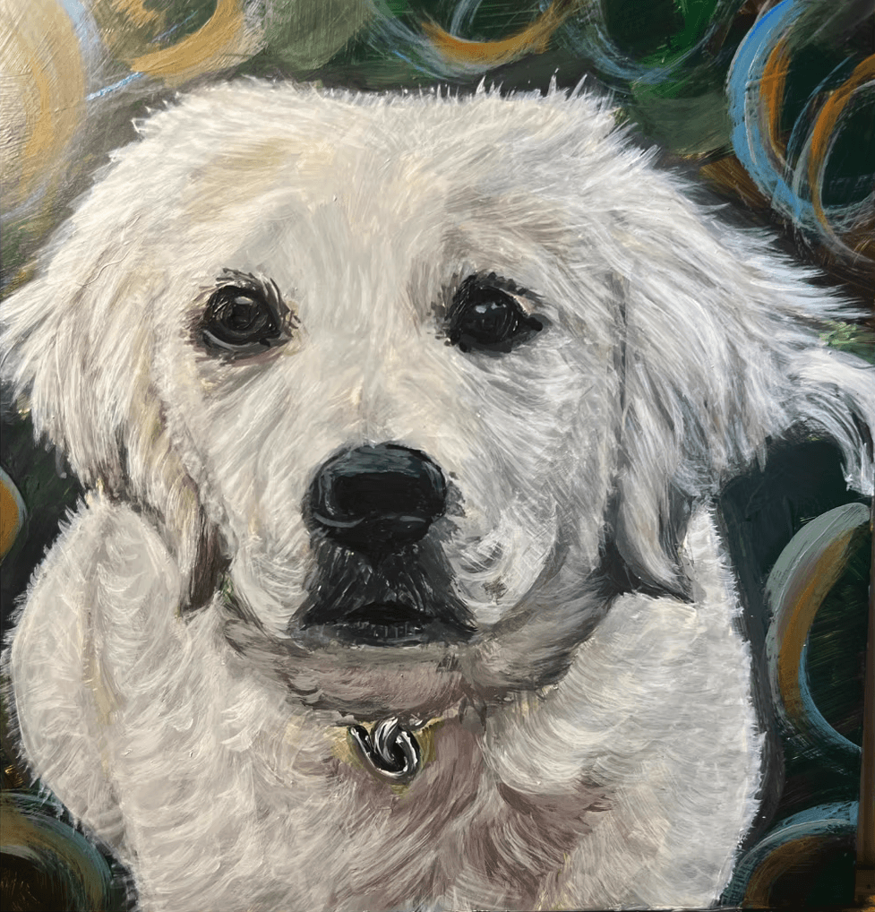 Portfolio showcase 11