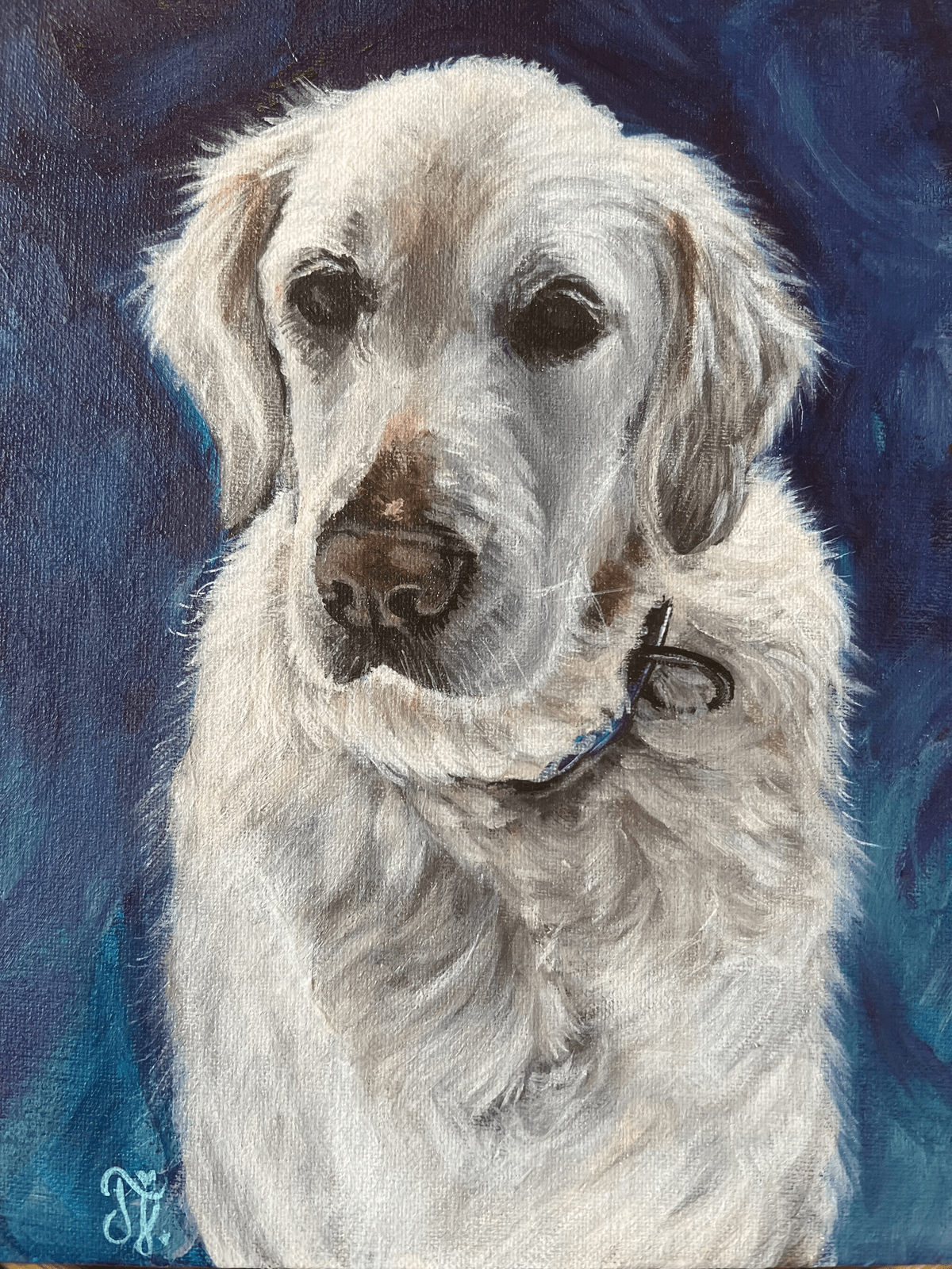 Pet portrait 15
