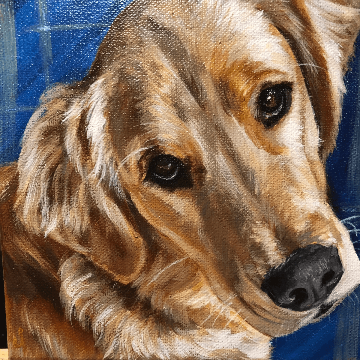 Portfolio showcase 12