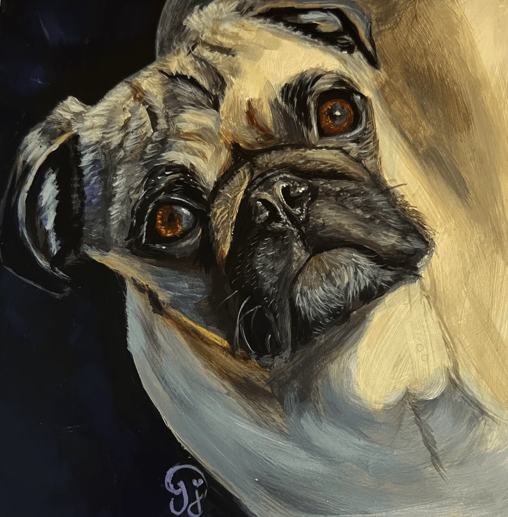 Portfolio showcase 7