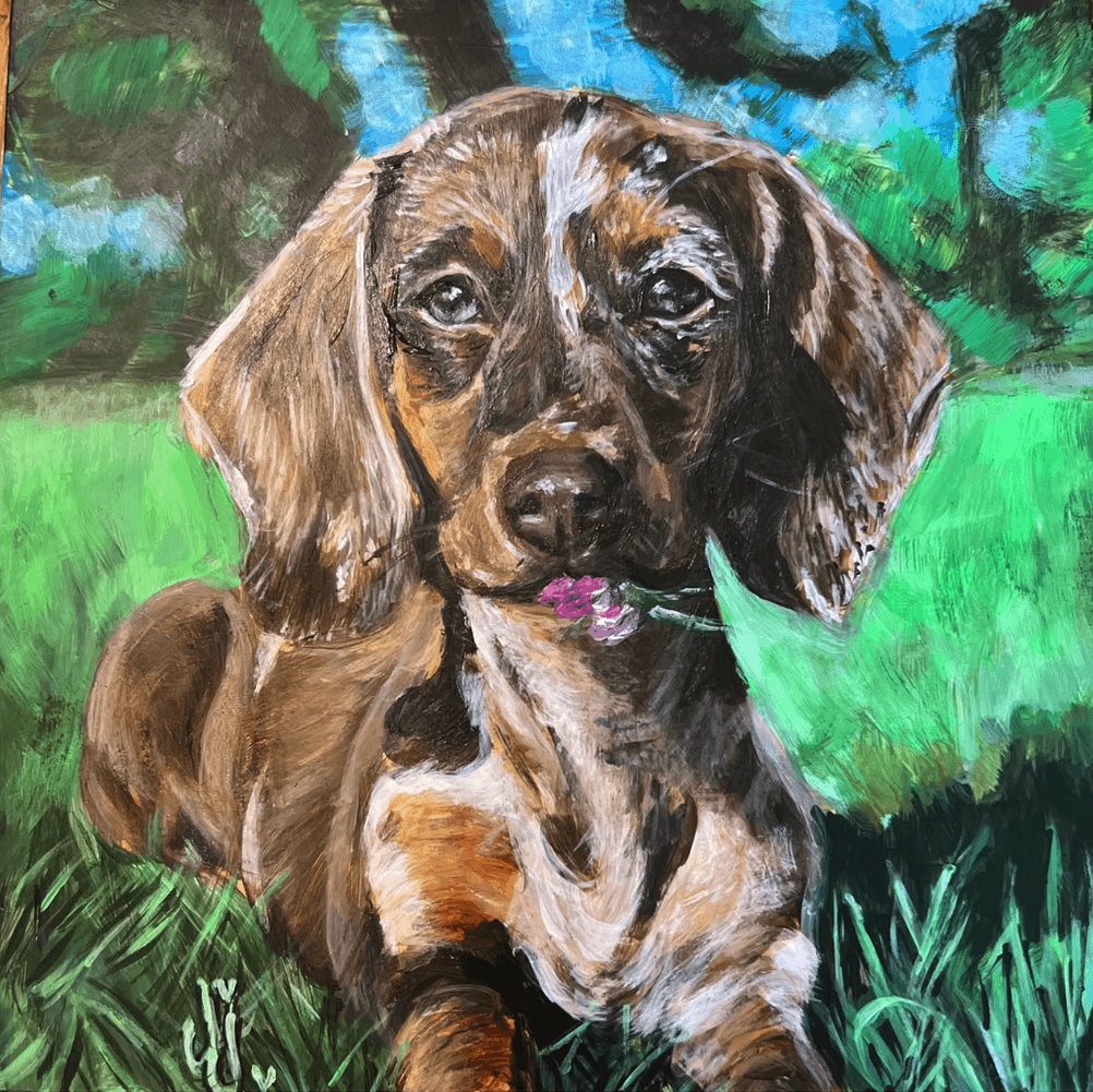 Pet portrait 22