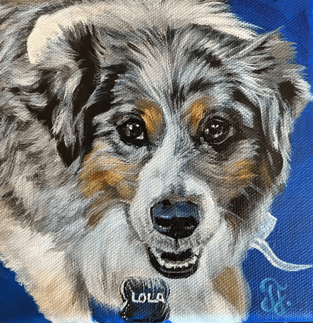 Pet portrait 24
