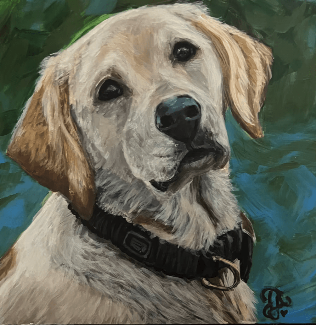 Portfolio showcase 1