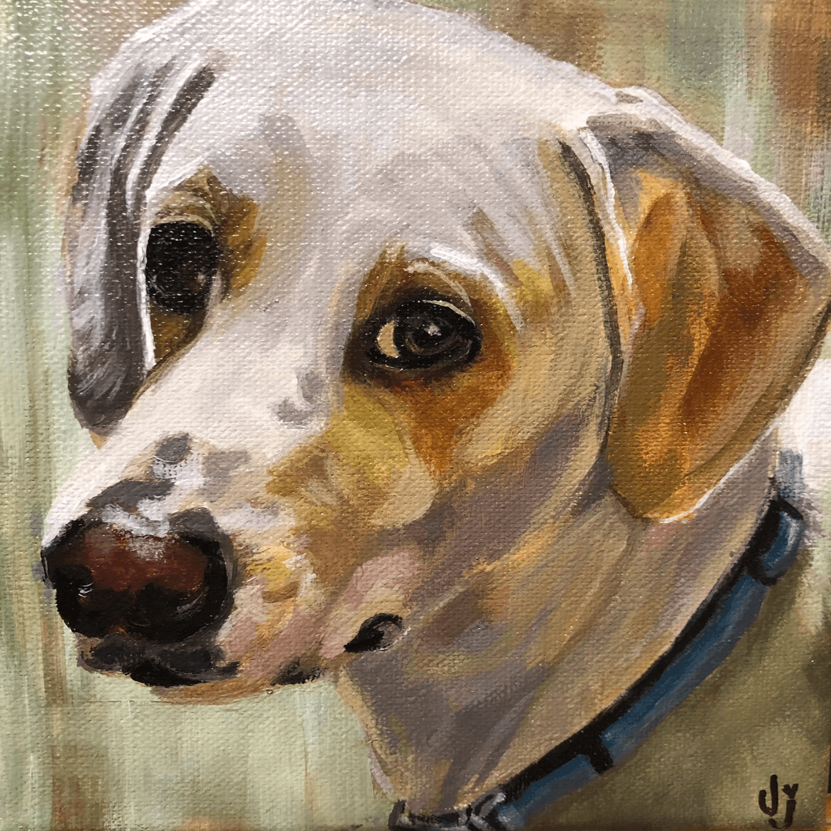 Pet portrait 25