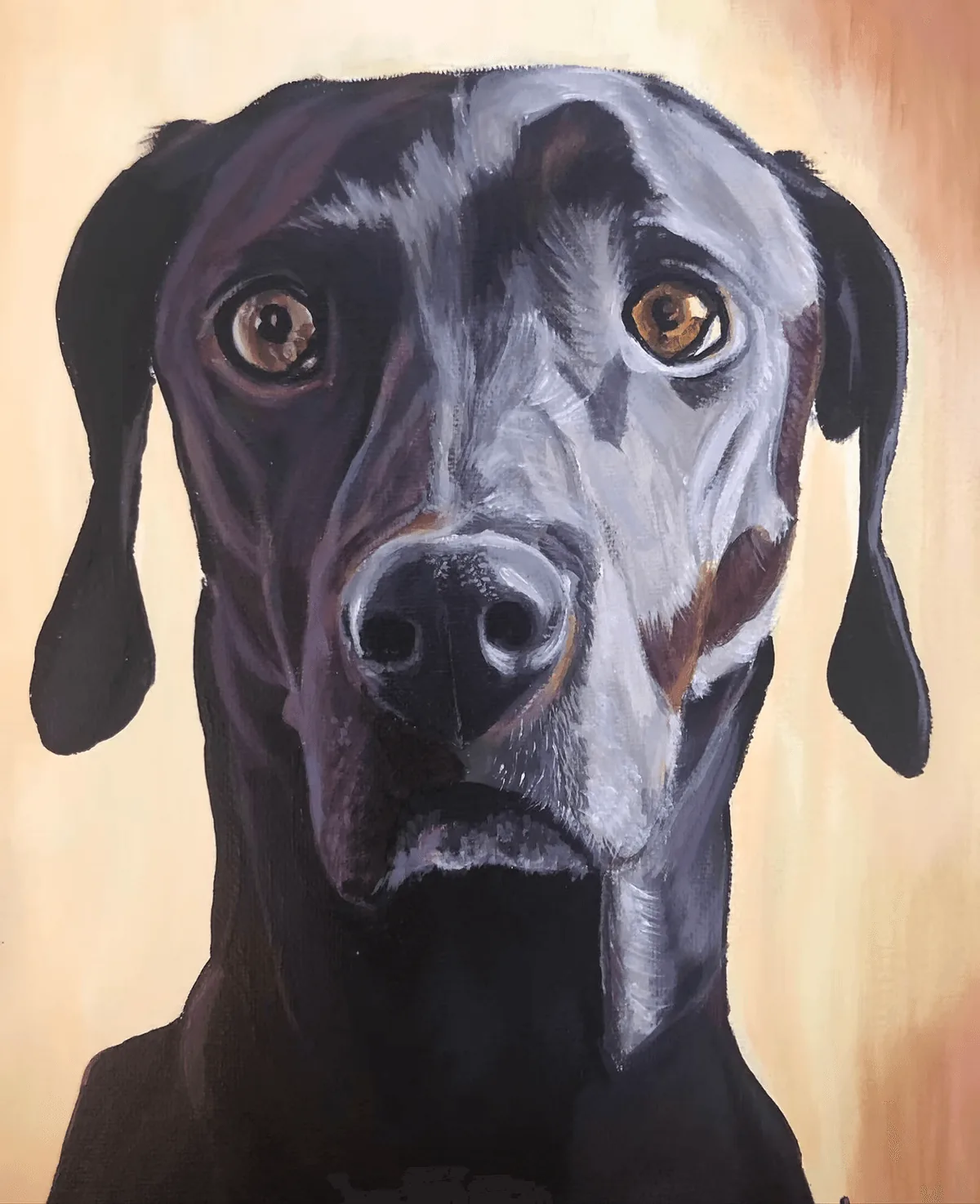Portfolio showcase 37