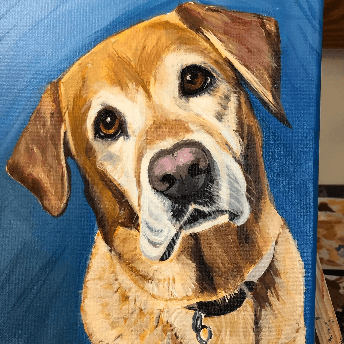 Portfolio showcase 2