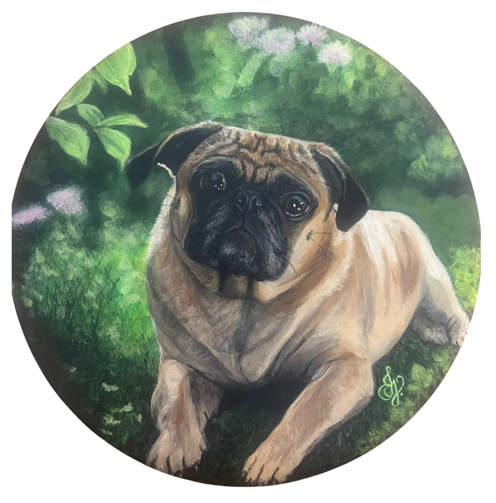 Portfolio showcase 10
