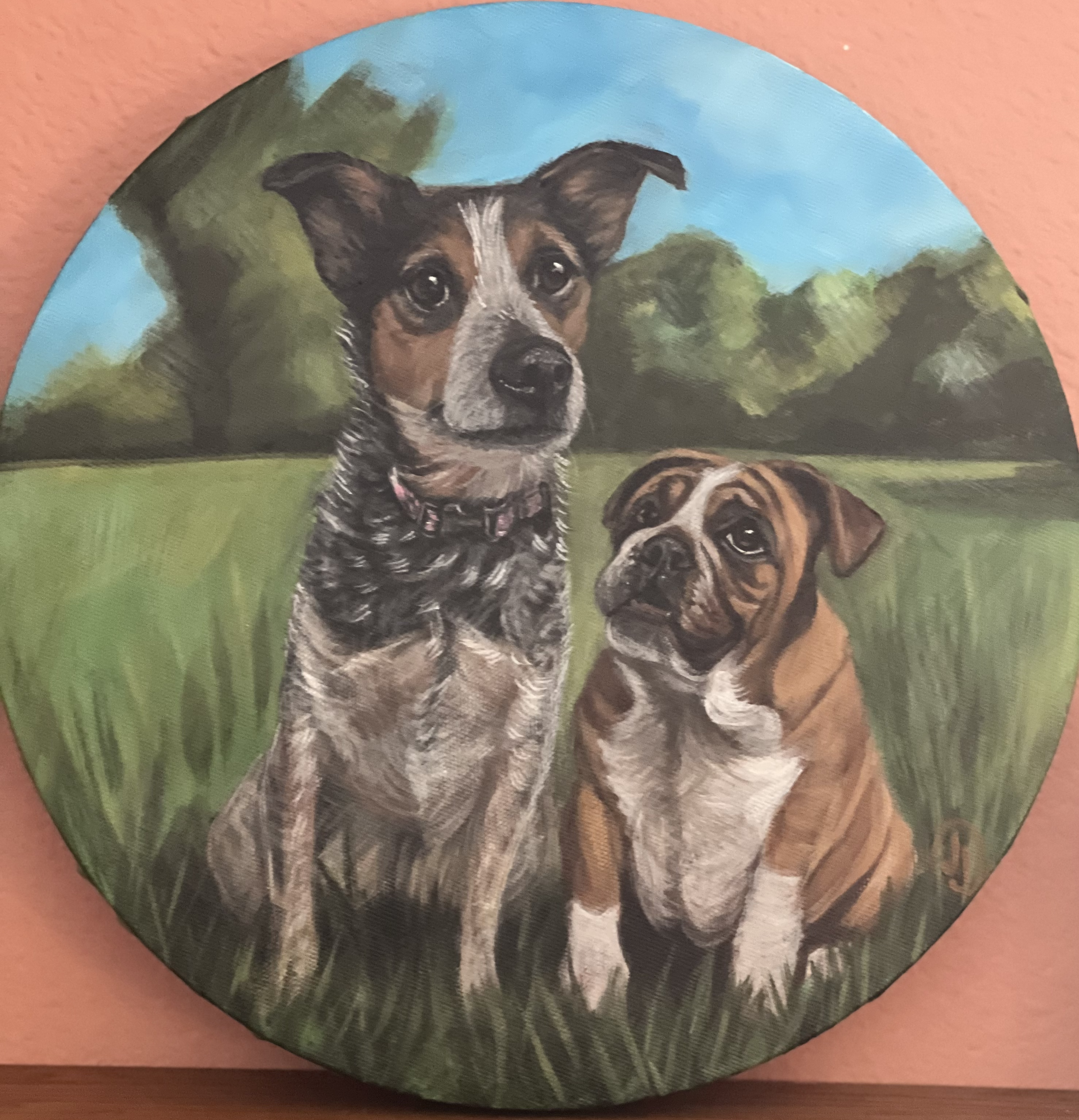 Pet portrait 35