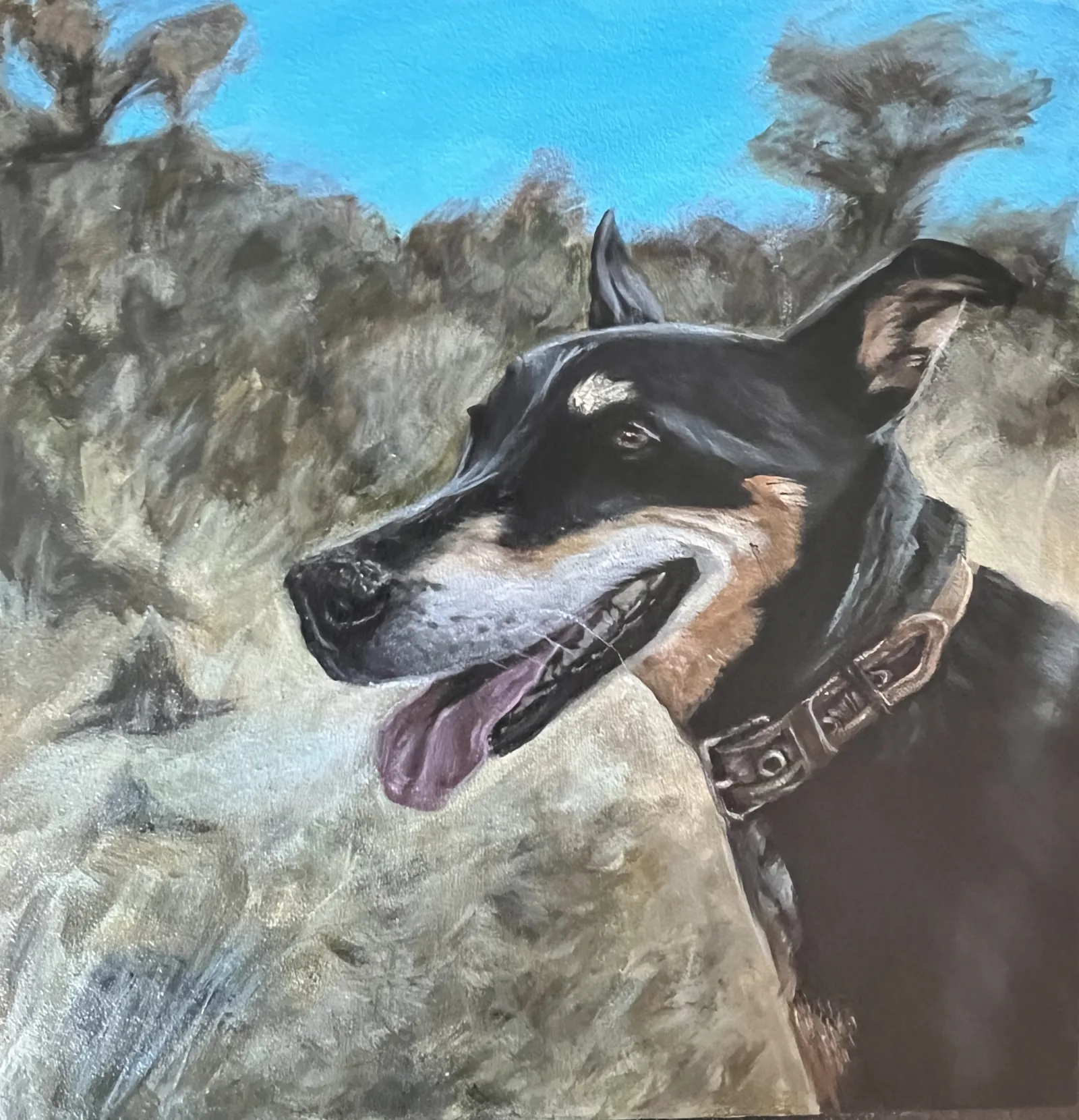 Portfolio showcase 1